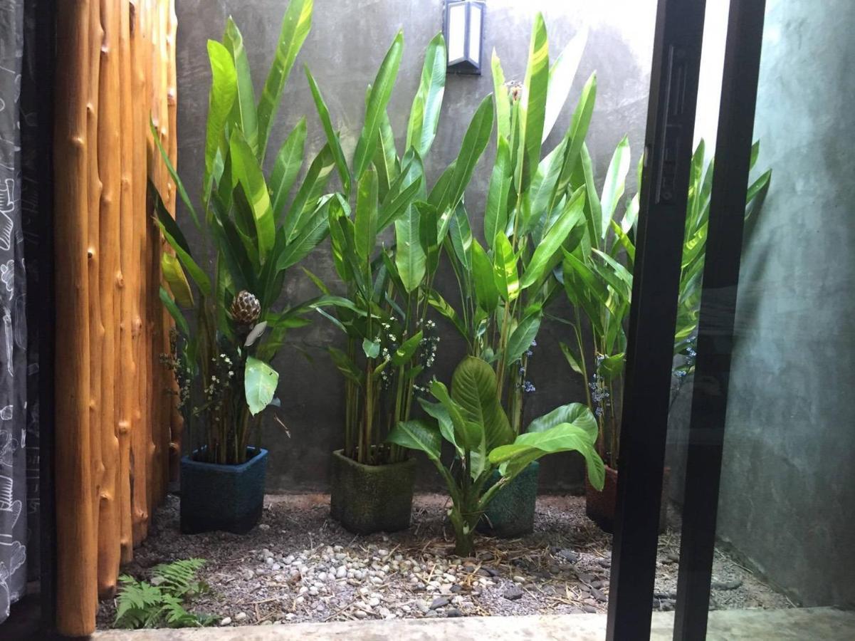 Br2 House Resort 帕夭 外观 照片